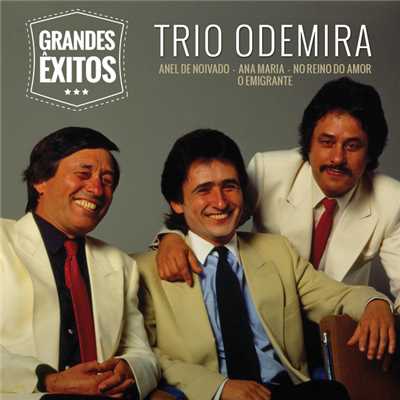 アルバム/Grandes Exitos/Trio Odemira