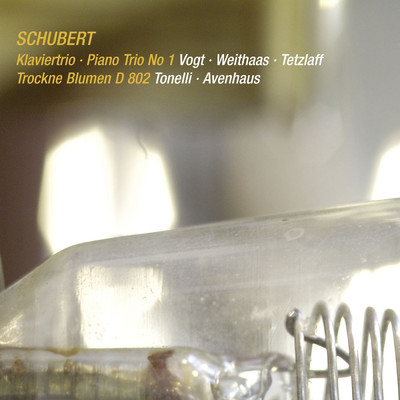 Schubert: Piano Trio No. 1 in B-Flat Major, D. 898: III. Scherzo. Allegro - Trio (Live)/ラルス・フォークト／Antje Weithaas／ターニャ・テツラフ
