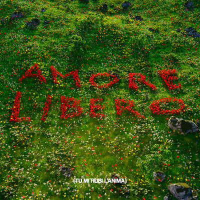 Amore Libero (tu mi rubi l'anima)/Ricko Schwartz, Collage & Daniele Franzese