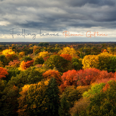 シングル/Falling leaves/Rowan Guthrie