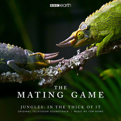 アルバム/The Mating Game - Jungles: In The Thick Of It (Original Television Soundtrack)/トム・ホウ