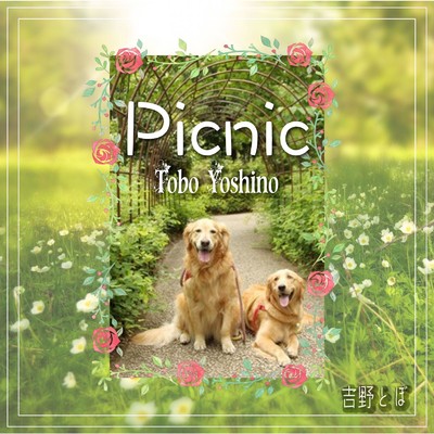 アルバム/Picnic/吉野とぼ