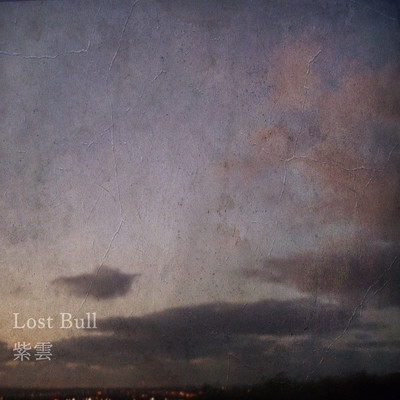 Lost Bull