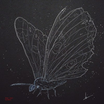 Moth (feat. Shitai) [Remix]/K