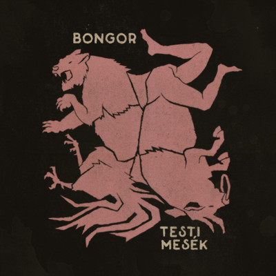 Testi Mesek (feat. DolBeats)/Bongor