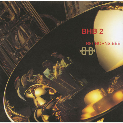 BHB2/BIG HORNS BEE