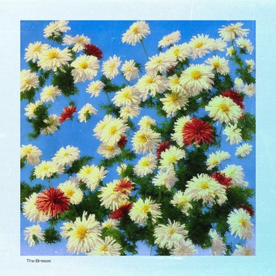 Chrysanthemum Tea/Prod. By Rose