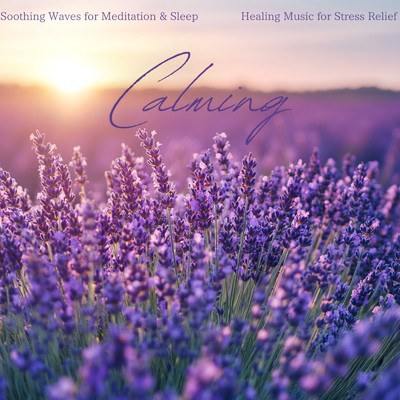 アルバム/Soothing Waves for Meditation & Sleep 〜 Healing Music for Stress Relief/Healing Sounds for Deep Sleep