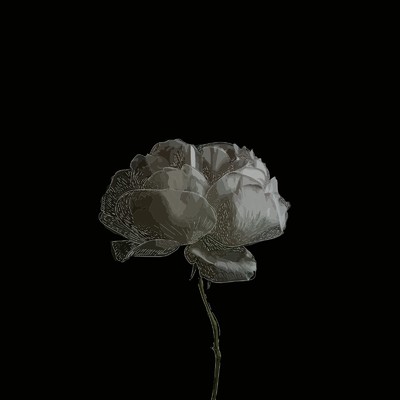 Beyond the darkness/naoki