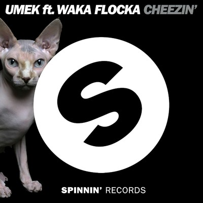 Cheezin' (feat. Waka Flocka Flame) [Instrumental Mix]/Umek