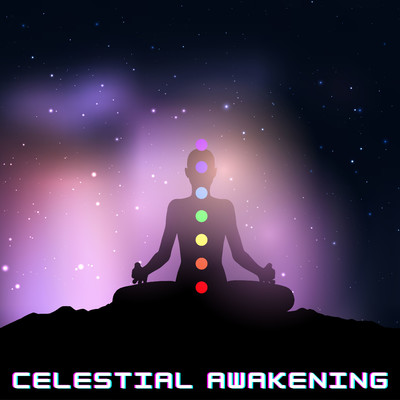 Vibrant Equilibrium: Chakra Healing Vibration/Chakra Meditation Kingdom