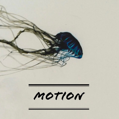 シングル/Motion/Protta
