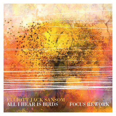 シングル/All I Hear Is Birds (Focus Rework)/エリオット・ジャック／マット・ロバートソン