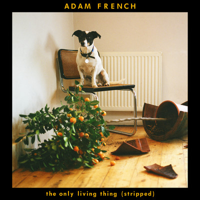 The Only Living Thing (Stripped)/Adam French