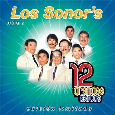 El chubasco/Los Sonor's