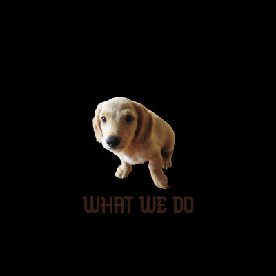 what we do/夕方の犬(U ・ェ・)