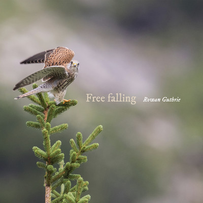 シングル/Free falling/Rowan Guthrie