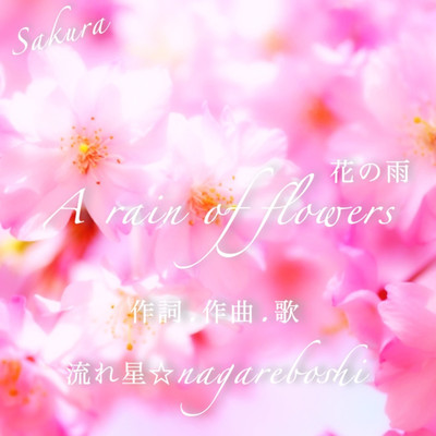 A rain of flowers 花の雨/流れ星sena