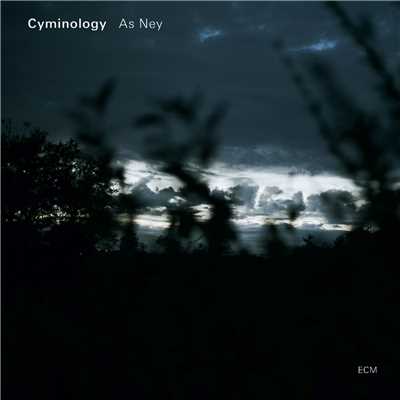 Por Se Sseda/Cyminology