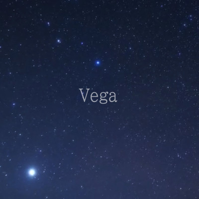 Vega/オサマ・リー・ギタカ