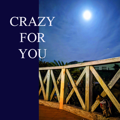 CRAZY FOR YOU (CHILLOUT mix)/DAIJIRO NOZAWA