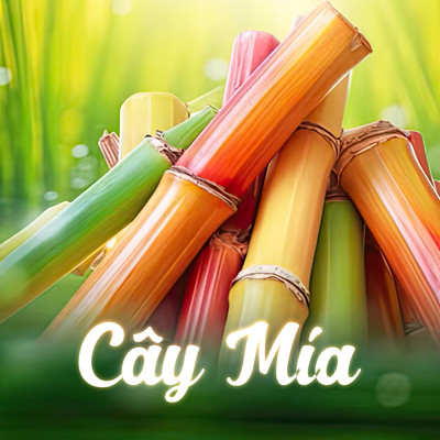 Cay Mia/LalaTv