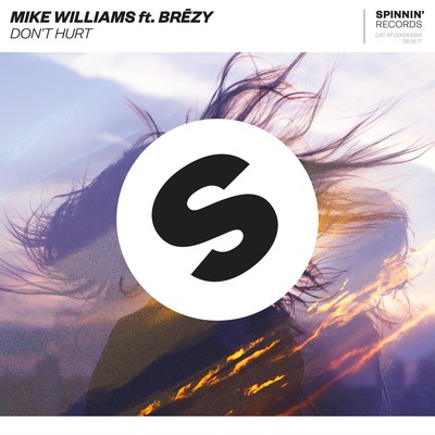 シングル/Don't Hurt (feat. Brezy) [Extended Mix]/Mike Williams