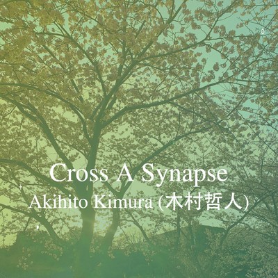 Cross A Synapse/Akihito Kimura (木村哲人)