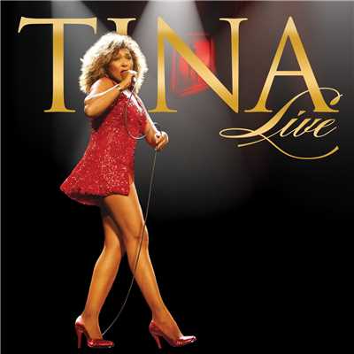 Steamy Windows (Live in Arnhem)/Tina Turner