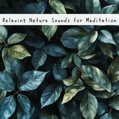 アルバム/Relaxing Nature Sounds for Meditation/Nature sounds for deep sleep