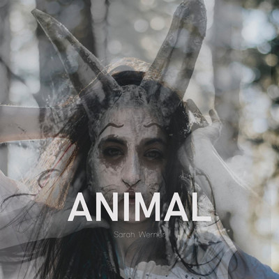 Animal/Sarah Werner