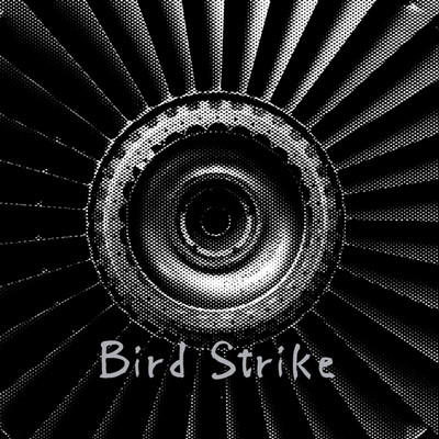 アルバム/Bird Strike/algo-Rhythm