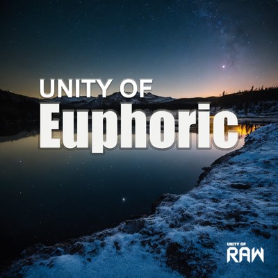 Unity of Euphoric/Various Artists