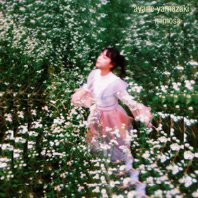 アルバム/Mimosa/Ayane Yamazaki