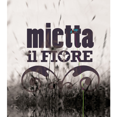 シングル/Il Fiore/Mietta