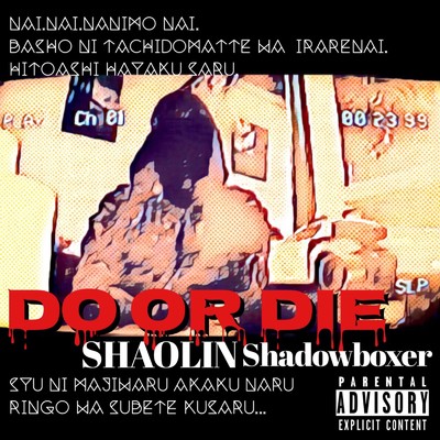 DO OR DIE/SHAOLIN shadowboxer