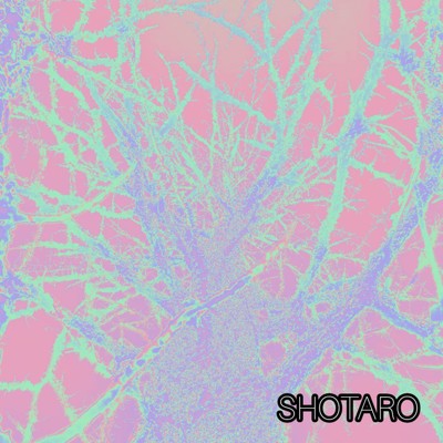 シングル/I'm a clone/SHOTARO
