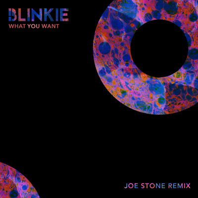 シングル/What You Want (Joe Stone Remix)/Blinkie