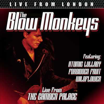 I Nearly Died Laughing (Live)/The Blow Monkeys