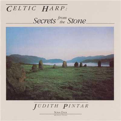 Secrets From The Stone/Judith Pintar