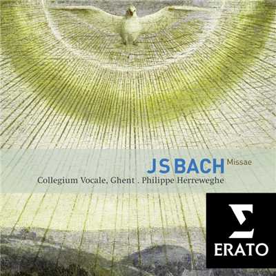 アルバム/Bach: Masses, BWV 233 - 235 & Sanctus, BWV 238/Philippe Herreweghe