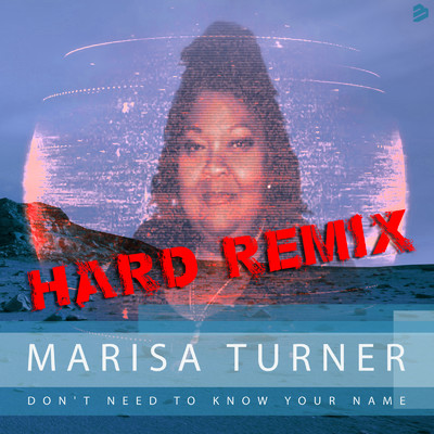 Don't Need To Know Your Name (Hard Remix)/Marisa Turner