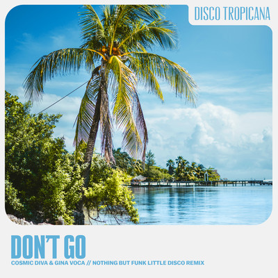 Don't Go (Nothing But Funk Little Disco Remix)/Cosmic Diva & GINA VOCA