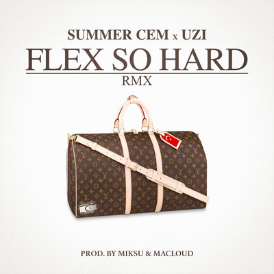 FLEX SO HARD RMX/Summer Cem