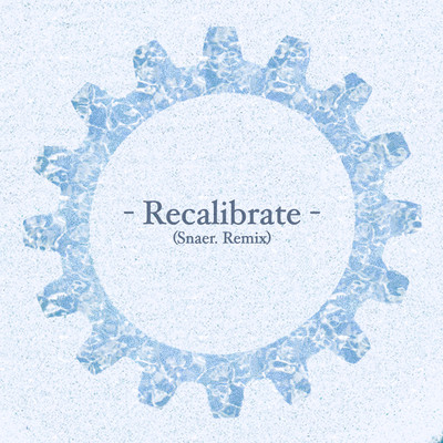 Recalibrate (Snaer. Remix)/Karim Kamar