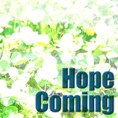 アルバム/Hope Coming/Nijiya