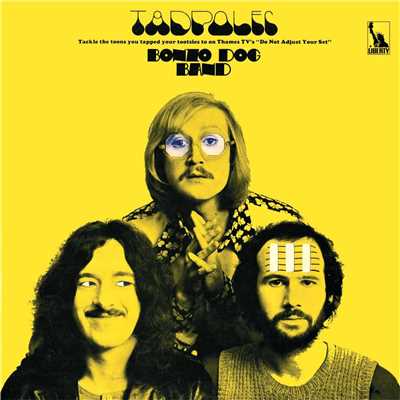 Hunting Tigers out in India (2007 Remaster)/The Bonzo Dog Band