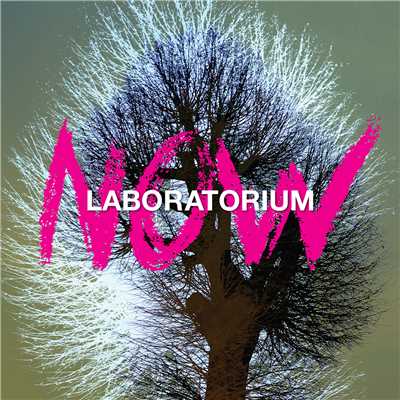 Latin Groove/Laboratorium