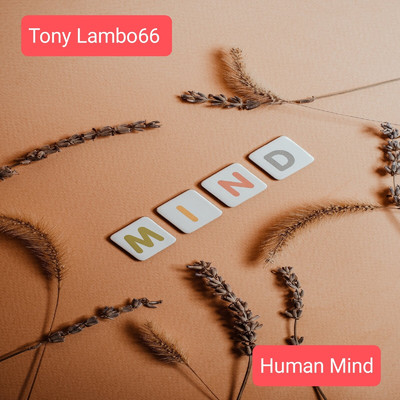Human Mind/Tony Lambo66