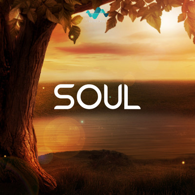 Soul/NS Records